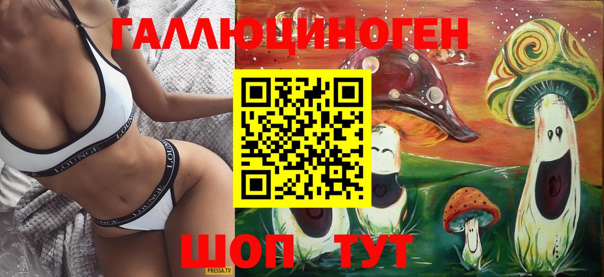 Псилоцибиновые грибы Psilocybe Пятигорск